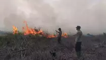 8 Wilayah di Riau Tetapkan Status Siaga Darurat Karhutla