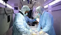 650 Orang Kaya Menolak Mati dengan Menjadi Peserta Uji Coba Teknologi Cryopreservation