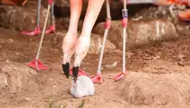 2 Flamingo Jantan Bikin Heboh karena Berhasil Menetaskan Telur di Kebun Binatang Inggris, Ini Fakta Sebenarnya