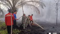 Petugas Gabungan Berhasil Padamkan Karhutla di Aceh dan Sumut