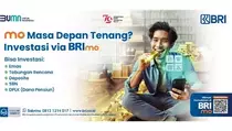 Bingung Mau Mulai Investasi Pertama Kali? Saatnya Coba Buka RDN di BRImo Saja