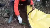Polisi Sudah Kantongi Identitas Pembunuh Gadis Penjual Gorengan di Padang Pariaman