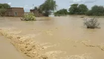 Banjir Rendam Parigi Moutong dan Buol, Ratusan Warga Terdampak