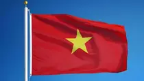 Vietnam Pertahankan PPN 8 Persen pada 2025 Saat Indonesia Ingin Naikkan PPN Jadi 12 Persen