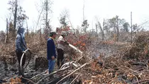 Kebakaran Hutan Jadi Penyumbang Emisi Karbon Tertinggi di Indonesia