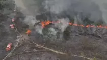 Cuaca Panas, 10 Hektare Hutan dan Lahan Gambut Terbakar Habis di Kutai Barat