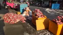 Truk Terguling Usai Tabrak Mobil Travel, Daging Ayam Berhamburan di Jalan