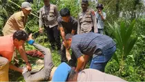 Terungkap, Mayat dengan Luka Kepala di Pamijahan Bogor Ternyata Pengusaha Online Shop