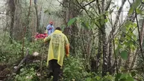 11 Pendaki Tersesat di Gunung Arjuna setelah Ikuti Jalur di YouTube