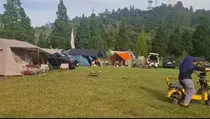 Menikmati Keindahan Hutan Pinus di Tepi Sungai Belerang dari Gunung Tangkuban Perahu