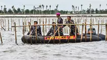 Pembongkaran Pagar Laut di Tangerang, TNI AL: Hari Ini Targetnya 5 Kilometer
