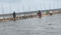 Nelayan Tarumajaya Dapat Cuan Bongkar Pagar Laut Bekasi, Dibayar Rp 150.000 Sehari