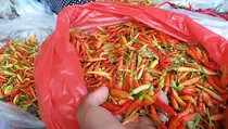 Harga Cabai Rawit Merah di Pasar Palmerah Tembus Rp 120.000 Per Kg