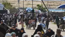MUI Minta Prabowo Kaji Ulang Rencana Evakuasi 1.000 Warga Gaza ke RI