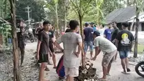 Pemerintah Blora Tak Perhatian, Warga Tanam Pisang di Jalan Rusak