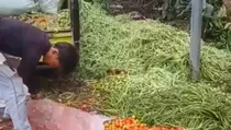 Harga Anjlok, Petani Ujan Mas Buang Sayuran ke Pinggir Jalan
