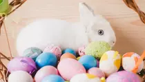 Apa Makna Telur dan Kelinci dalam Perayaan Paskah?
