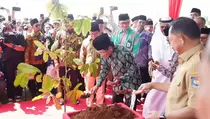 Hari Bumi 2025, Menag: Pohon Matoa dari Papua Indonesia untuk Dunia