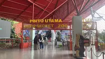 Batu Secret Zoo Hadirkan Satwa Langka Kanguru Pohon Nemena