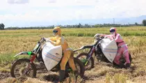 Ombudsman: Kenaikan Harga Gabah Belum Tentu Bikin Petani Untung