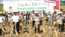 Lonjakan Produksi Pangan, Indonesia Catat Sejarah Baru pada 2025