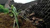 Longsor Terjang Desa Petungroto Kediri, Puluhan Rumah Rusak