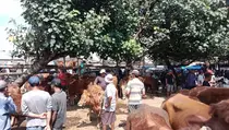 Pemkab Malang Pastikan Hewan Kurban di 17 Pasar Bebas PMK dan LSD
