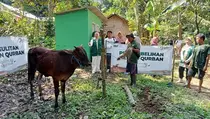 Mualaf Baduy Dapat Hewan Kurban Sapi dan Kambing, Warga Terharu