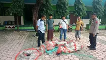 Beruntung Tak Meledak, Balon Udara Isi Mercon Jatuh di MAN Kota Blitar