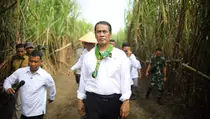Jawa Timur Jadi Lumbung Pangan Nasional, Mentan: Harus Dijaga