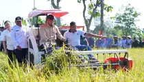Wamentan Sudaryono Bersama Dirjen Tanaman Pangan Panen Raya Padi di Ngawi