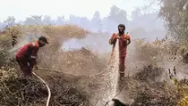 20 Hektare Lahan Gambut di Kampar Terbakar, Heli Bom Air Dikerahkan