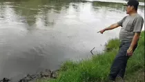 Lansia di Tanggamus Lampung Tewas Diterkam Buaya Saat Mandi di Sungai