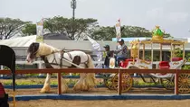 Ada Wahana Baru di Jatim Park Bikin Liburan Sekolah Makin Seru