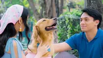 Film Alibii.com: Kebohongan Jefri Nichol yang Terungkap