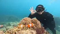Melihat Ikan Badut di Bawah Laut Karimunjawa