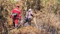 Kebakaran 35 Hektare Lahan Gambut di Dumai Sulit Dipadamkan