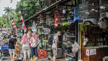 Relokasi Pasar Hewan Barito Ke Lenteng Agung