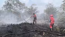 Karhutla 8 Hektare di Rimbo Panjang, Api Tak Kunjung Padam