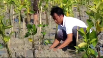 6.000 Mangrove Ditanam Serentak di Bali, Persembahan untuk Ibu Pertiwi