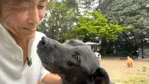 Pria Ini Jual Ferrari Miliknya demi Bangun Penampungan Anjing