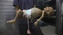 Penulis Israel Kecam Negaranya atas Genosida di Gaza