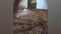 Viral Video Kebun Binatang di Medan Jorok dan Dipenuhi Bau Busuk