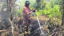 Sejak Januari 2025, 1.404 Hektare Lahan di Riau Terbakar