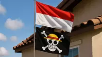 Kibarkan Bendera One Piece Dihukum 5 Tahun Penjara? Begini Faktanya