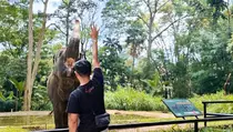 Sempat Terancam Kelaparan, Satwa Bandung Zoo Kini Sudah Diberi Makan