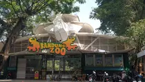 Satwa Langka Mati di Bandung Zoo, Ini Faktanya