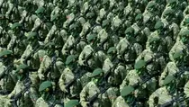 Defile Gelar Pasukan di Batujajar Libatkan 27.384 Personel