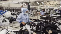 BI Catat Industri Manufaktur Mulai Fase Ekspansi pada Akhir 2025
