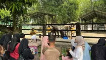 400.000 Orang Bakal Serbu Taman Margasatwa Ragunan Saat Libur Lebaran